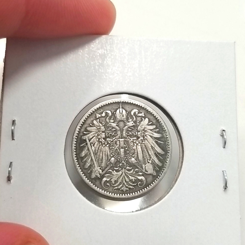 1893 Austrian 20 Hellar coin